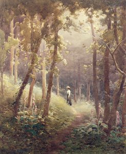 Uma clareira da floresta